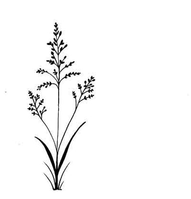 Lavinia Field Grass Clear Stamp