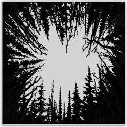 Hero Arts Cathedral of Trees Bold Print 6X6 Stamp