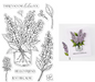Hero Arts No One Lilac You Clear Stamp