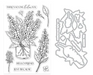 Hero Arts No One Lilac You Stamp & Cut
