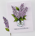 Hero Arts No One Lilac You Stamp & Cut