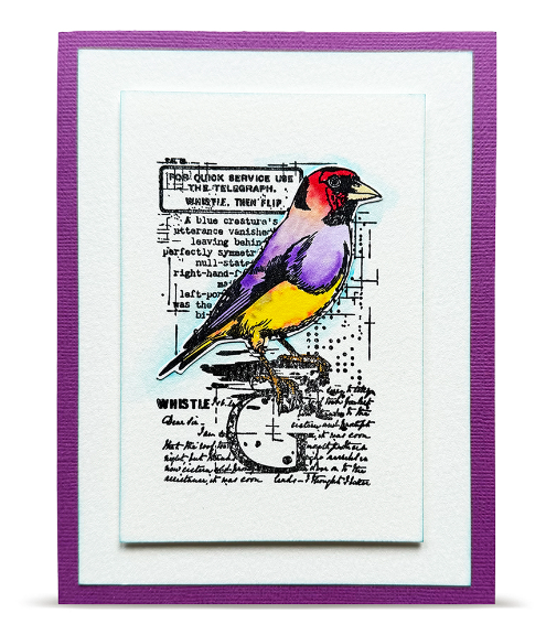 Aall & Create Whistling Finch Stamp
