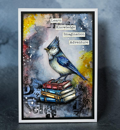 Aall & Create Cardinal Stare Stamp