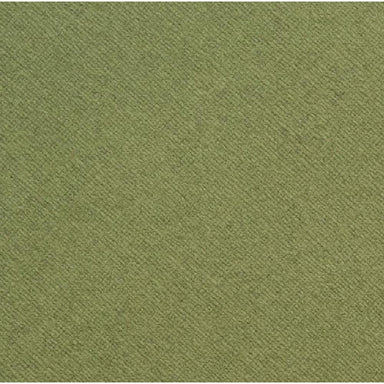 Coordinations 12X12 Cardstock Evergreen