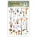 Lavinia Mushroom Stickers 2