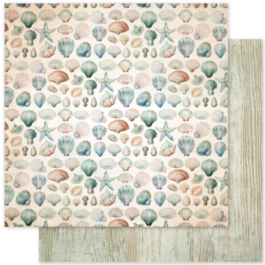 Paper Rose Seaside Memories Basics B 12X12 Paper
