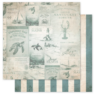 Paper Rose Seaside Memories Basics D 12X12 Paper