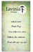 Lavinia Wild At Heart Clear Stamp