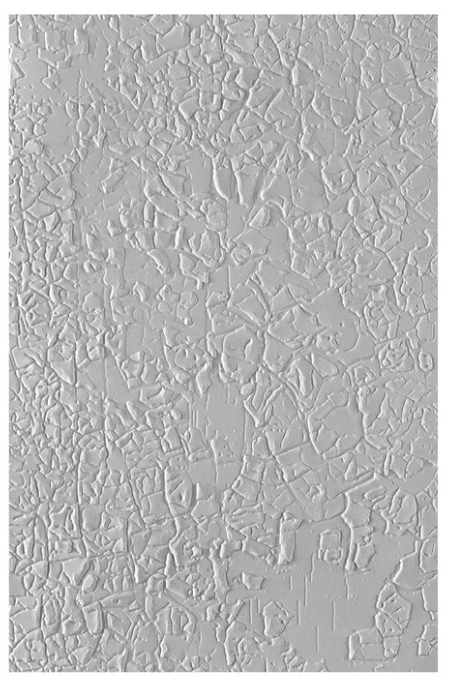 Spellbinders Crackle Paint Embossing Folder