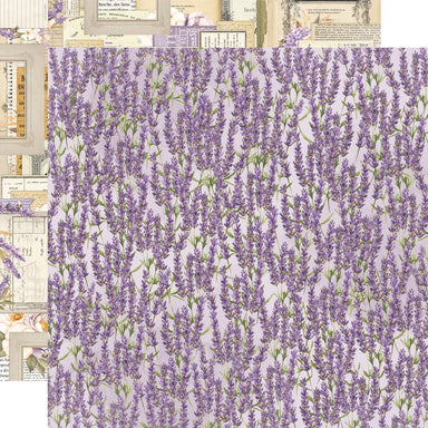 Simple Stories Simple Vintage Lavender Fields Wild At Heart 12X12 Paper