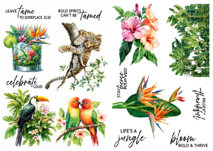 Spellbinders Life's A Jungle Rub Ons