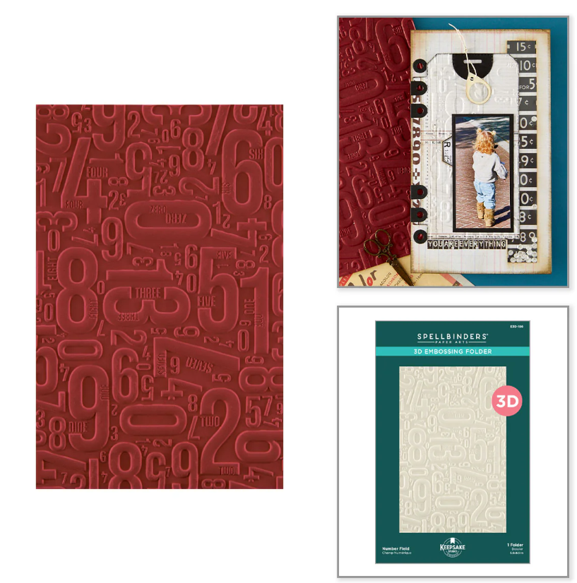 Spellbinders Number Field 3D Embossing Folder By Esther Glas