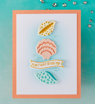 Hero Arts Sophisticated Shell Die