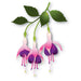 Memory Box Delicate Fuchsia Trio Die