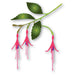 Memory Box Hardy Fuchsia Buds Die