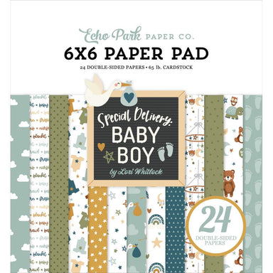 Echo Park Special Delivery Baby Boy 6X6 Paper Pad