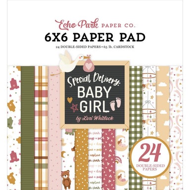 Echo Park Special Delivery Baby Girl 6X6 Paper Pad