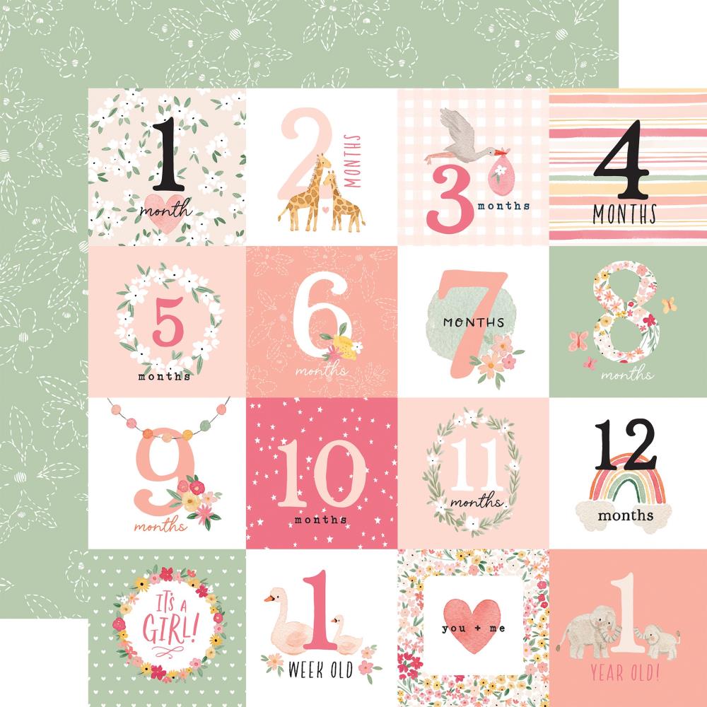 Echo Park Welcome Baby Girl Milestone Journaling Cards 12X12 Paper