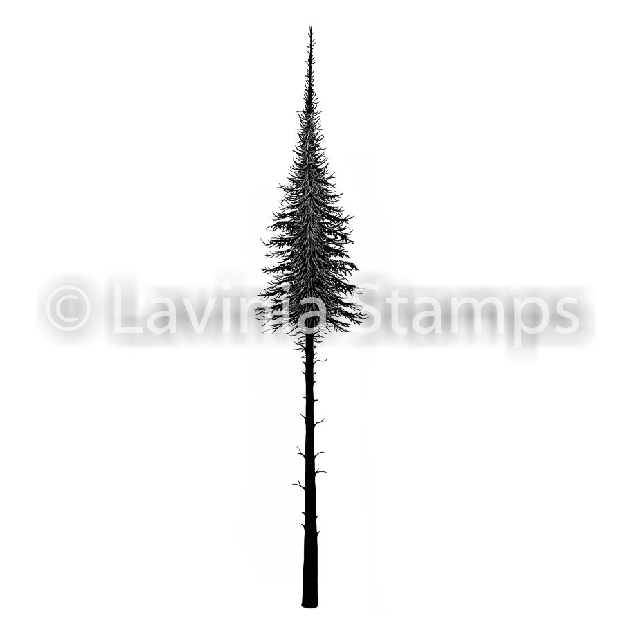 Lavinia Small Fairy Fir Tree Stamp