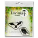 Lavinia Brodwin & Maylin Stamps