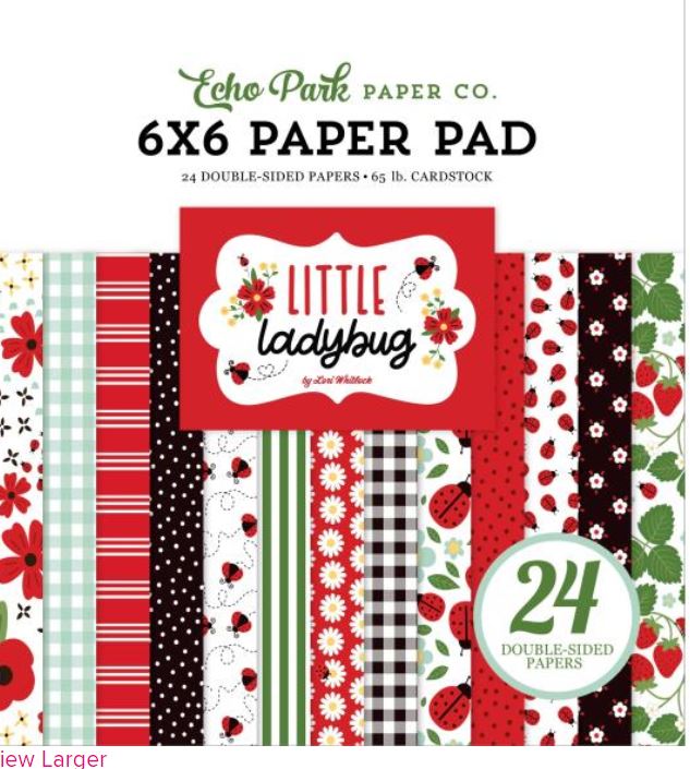 Echo Park Little Ladybug 6X6 Paper Pad 24 Double Sided Papers