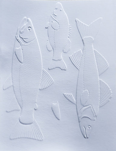 Memory Box Freshwater Fish Embossing Folder and Die