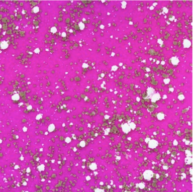 Stampendous Heat Embossing Powder Set: Rose Sparkle EK40 5 Colors