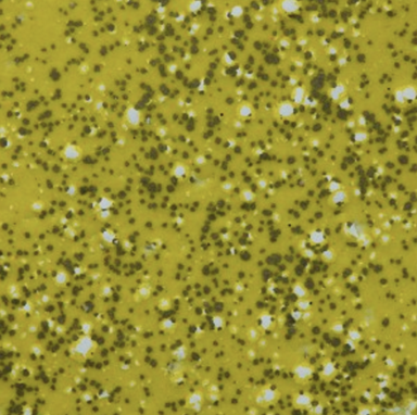 Wow Poppin Yellow (OM) Embossing Powder
